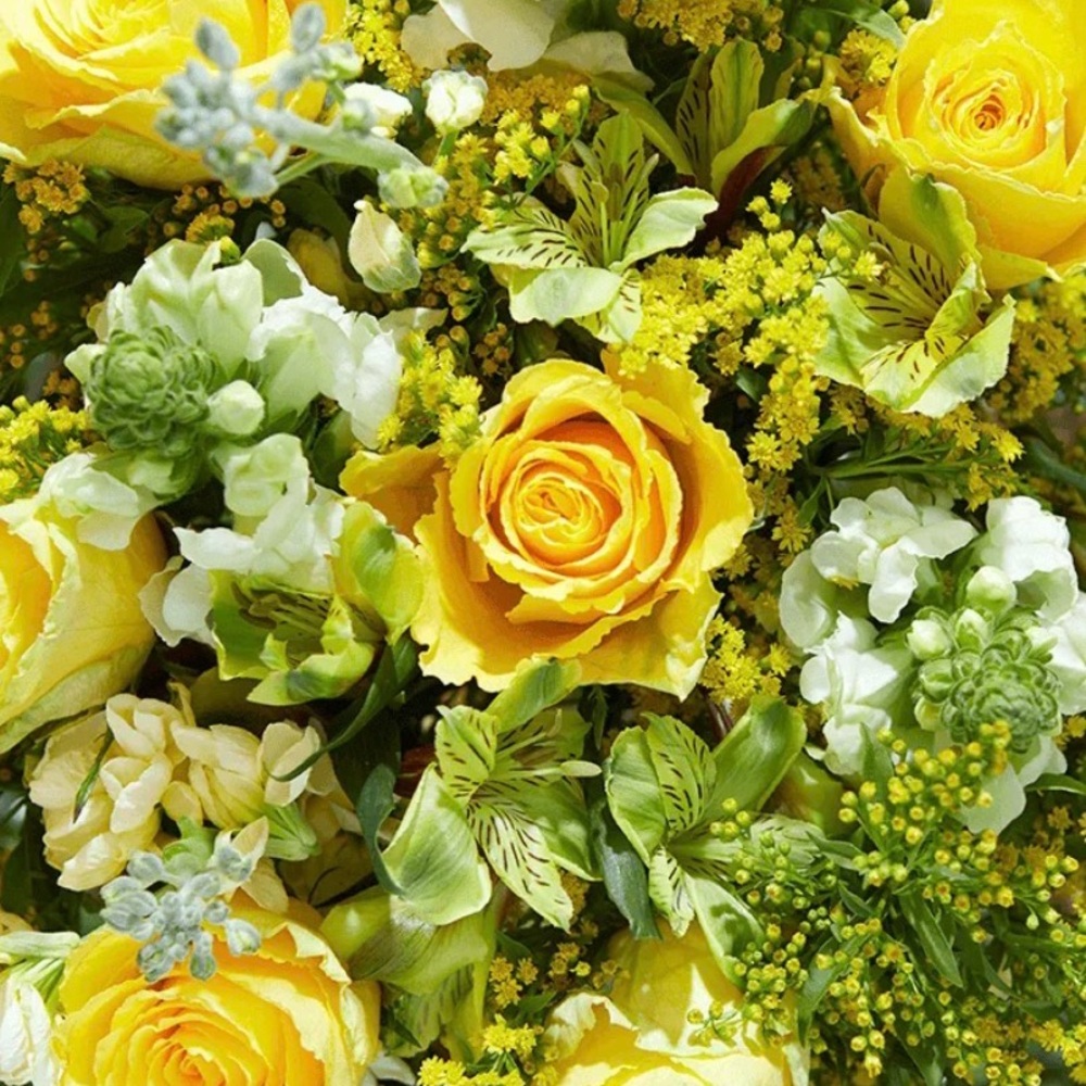 Meet your Posher, Wanda